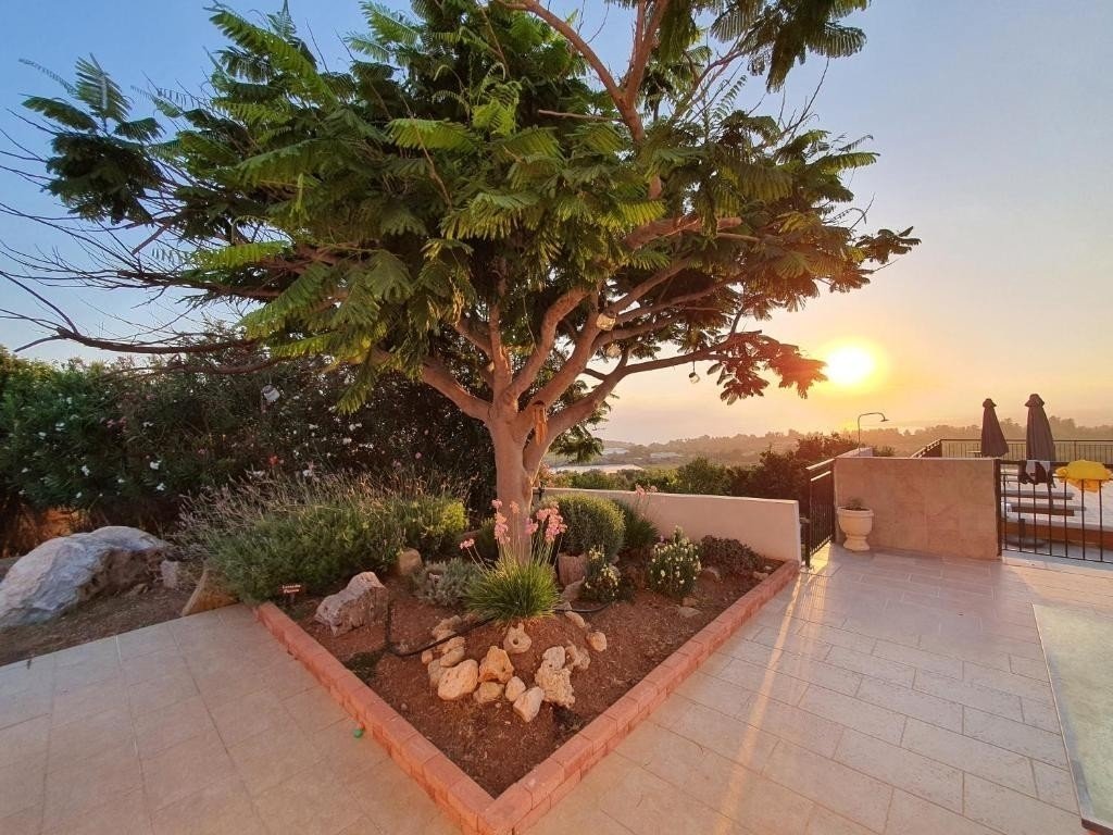 Villa in Kissonerga, Paphos, Cyprus 4 - 16173625