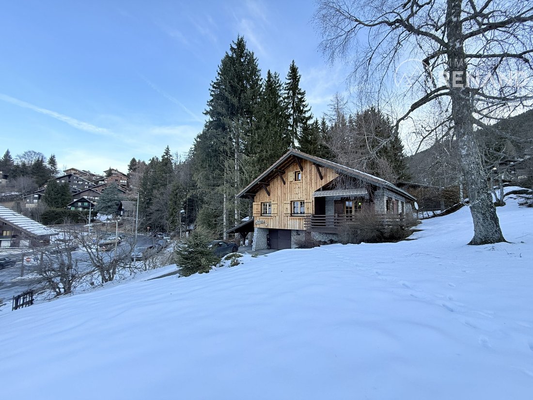 Chalet in Arâches-la-Frasse, Auvergne-Rhône-Alpes, France 5 - 17971641