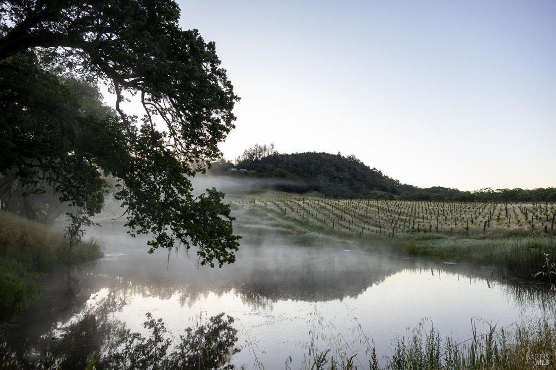 House in Healdsburg, California, United States 1 - 17971254