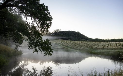 House in Healdsburg, California, United States 1