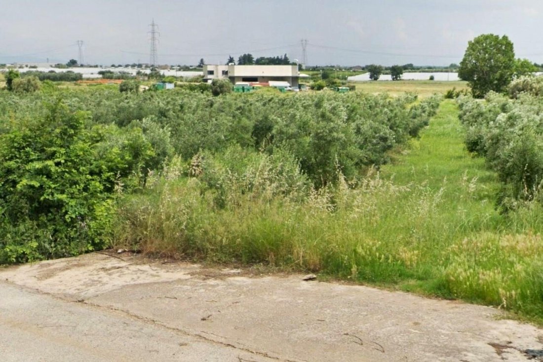 Land in Francolise, Campania, Italy 1 - 17970606