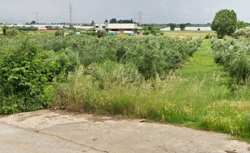 Land in Francolise, Kampanien, Italien 1