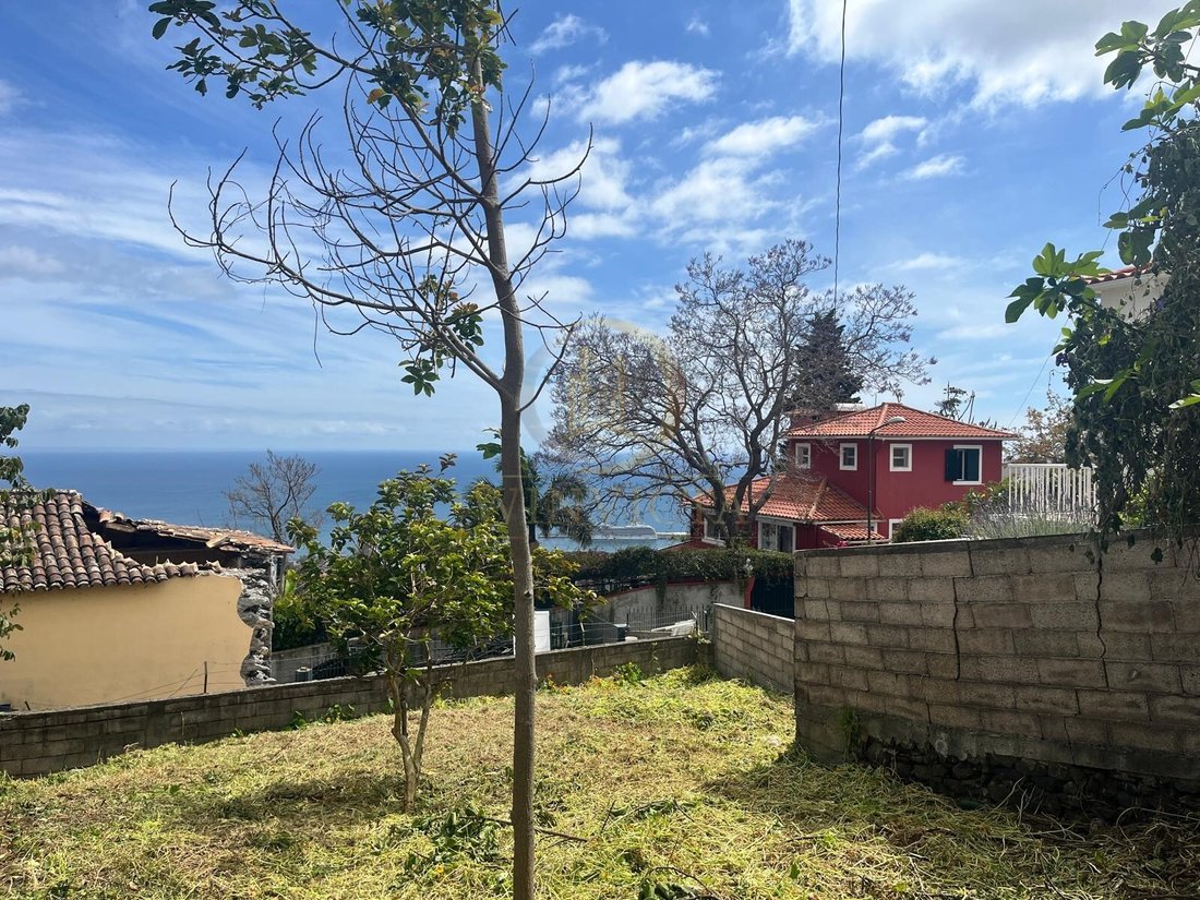 House in Imaculado Coracao de Maria, Madeira, Portugal 3 - 17970279