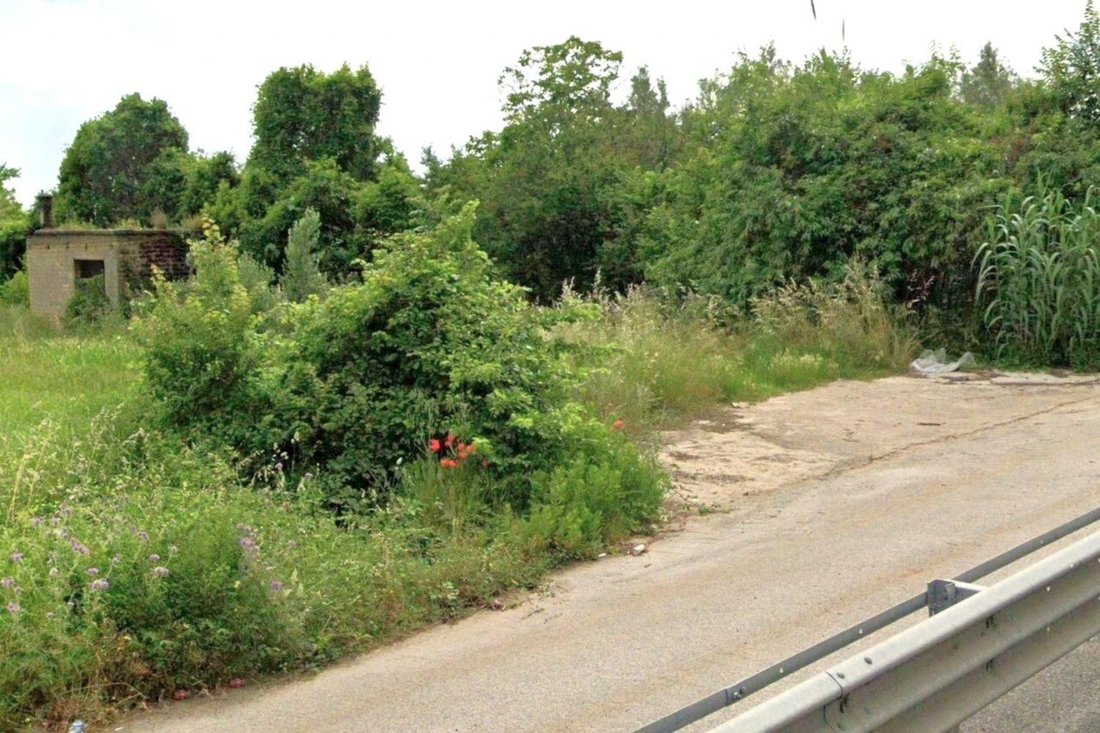 Land in Francolise, Campania, Italy 4 - 17970606