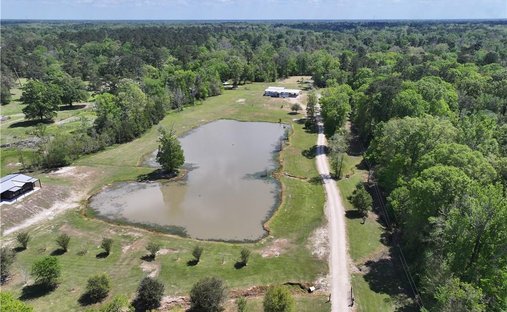 House in Central, Louisiana, United States 1