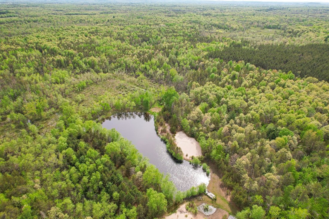 Land in New Lisbon, Wisconsin, United States 4 - 17968929