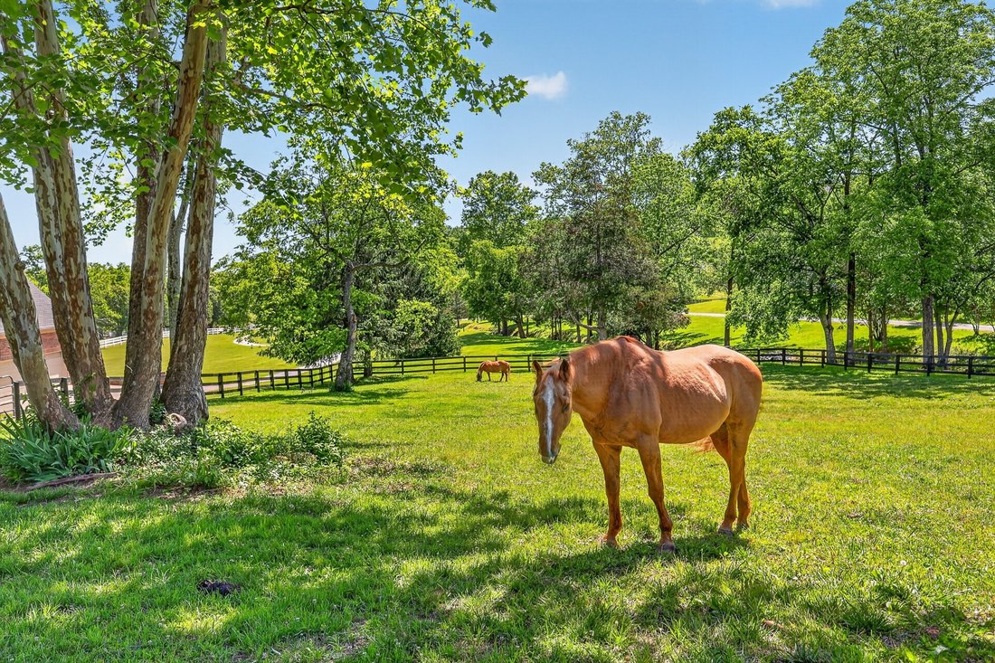 House in Gallatin, Tennessee, United States 5 - 17972515