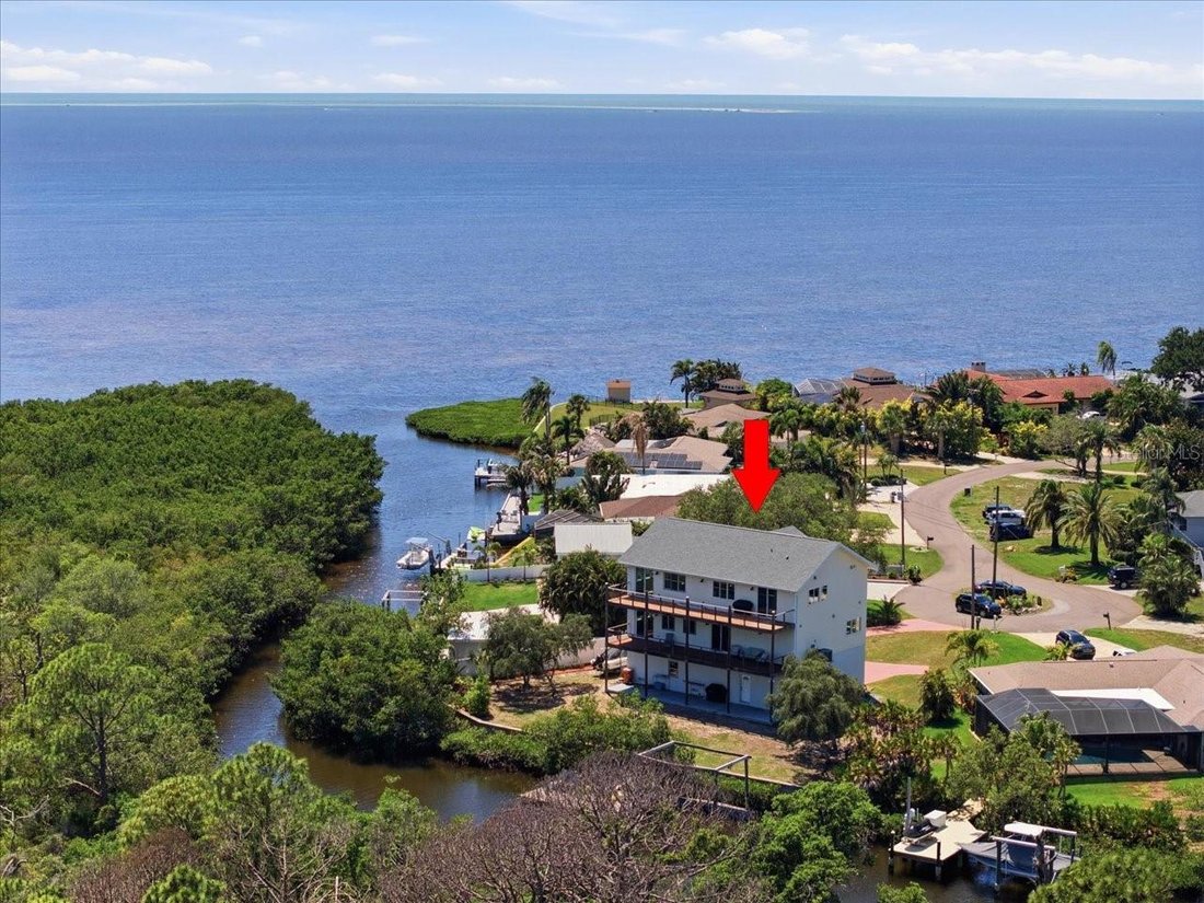 House in Tarpon Springs, Florida, United States 1 - 17966362