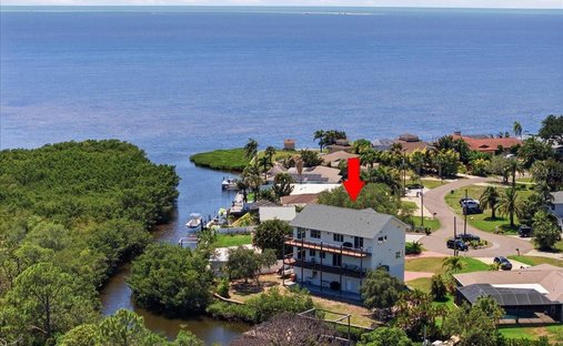 Haus in Tarpon Springs, Florida, Vereinigte Staaten 1