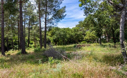Land in Grimaud, Provence-Alpes-Côte d'Azur, France 1