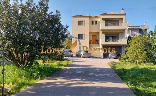 House in Markopoulo Mesogaias, Attica, Greece 1