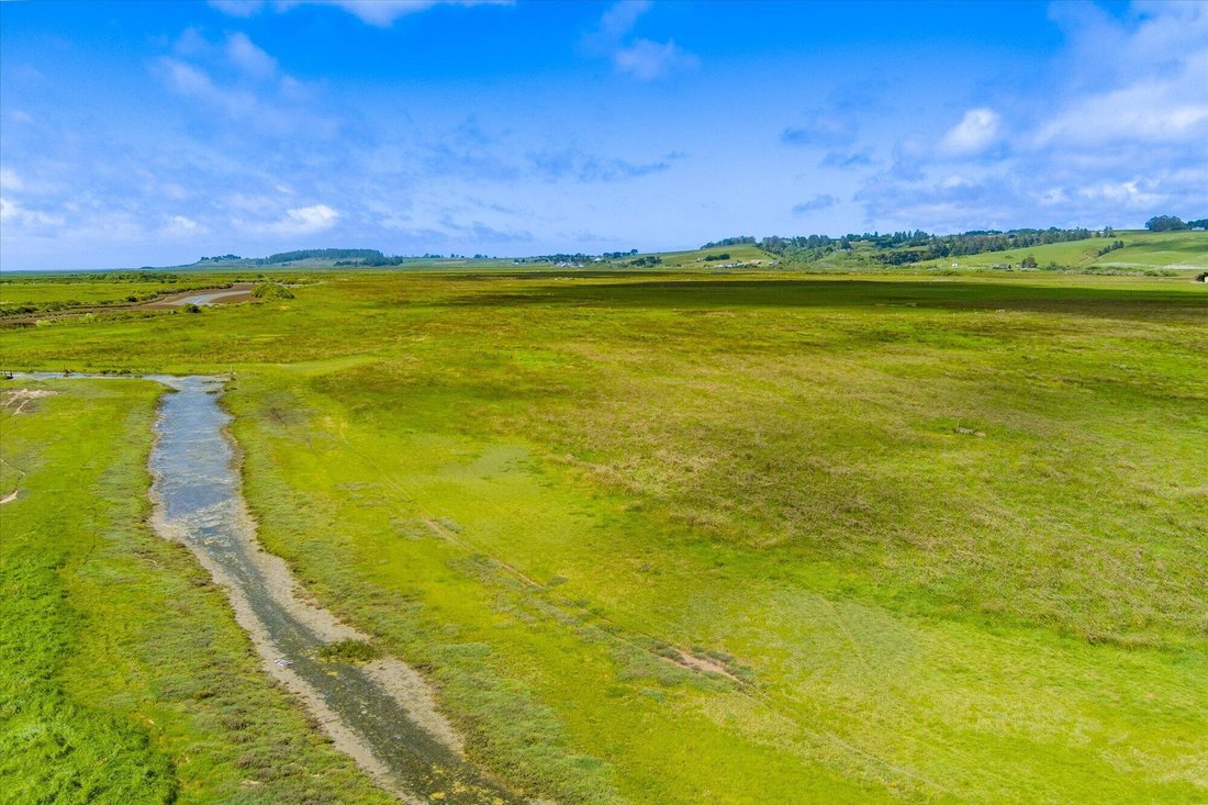 Loleta, California, United States 3 - 17967502