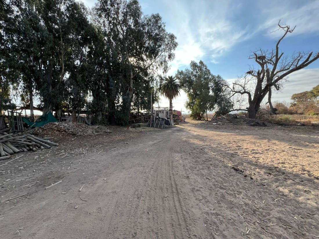 Farm Ranch in Villa Krause, San Juan Province, Argentina 2 - 17965949