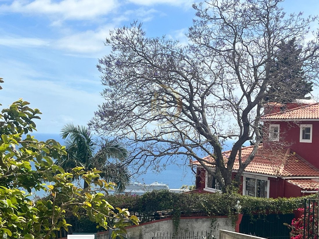 House in Imaculado Coracao de Maria, Madeira, Portugal 1 - 17970279