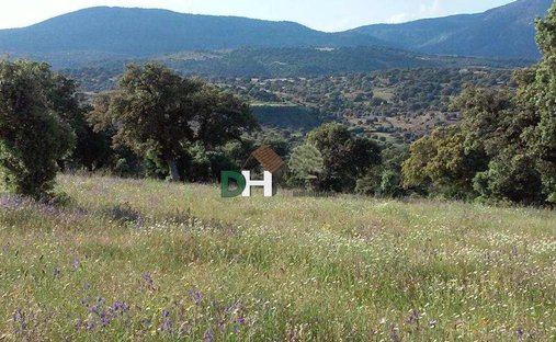 Land in Toledo, Kastilien-La Mancha, Spanien 1