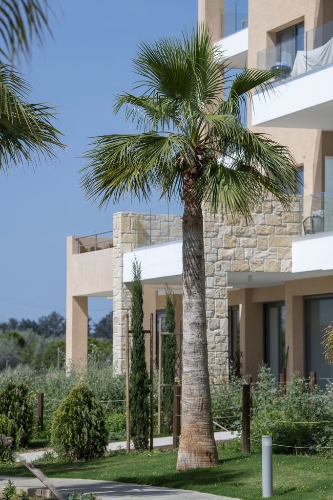 Apartment in Trachoni, Limassol, Cyprus 3 - 17146282