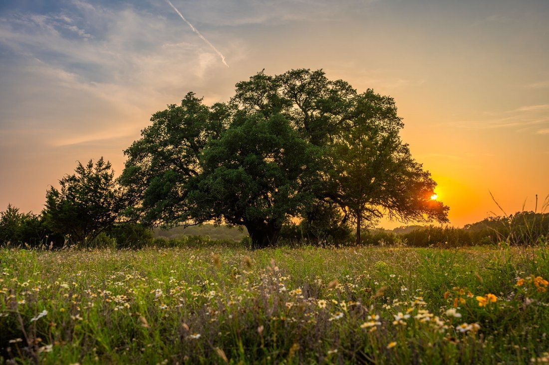 Land in Hico, Texas, United States 5 - 17970448