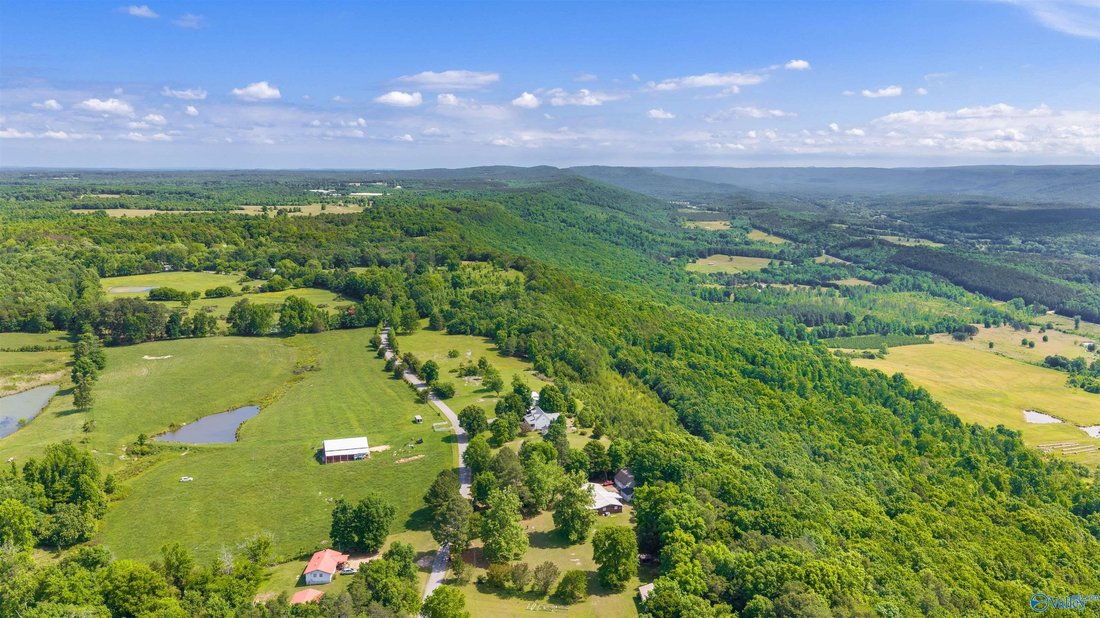 House in Henagar, Alabama, United States 4 - 17966245