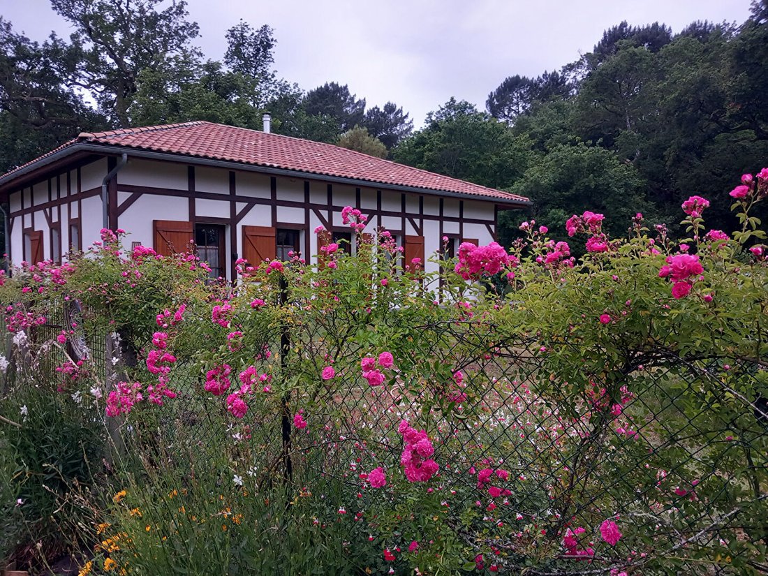 Villa in Castets, Nouvelle-Aquitaine, France 5 - 17967578