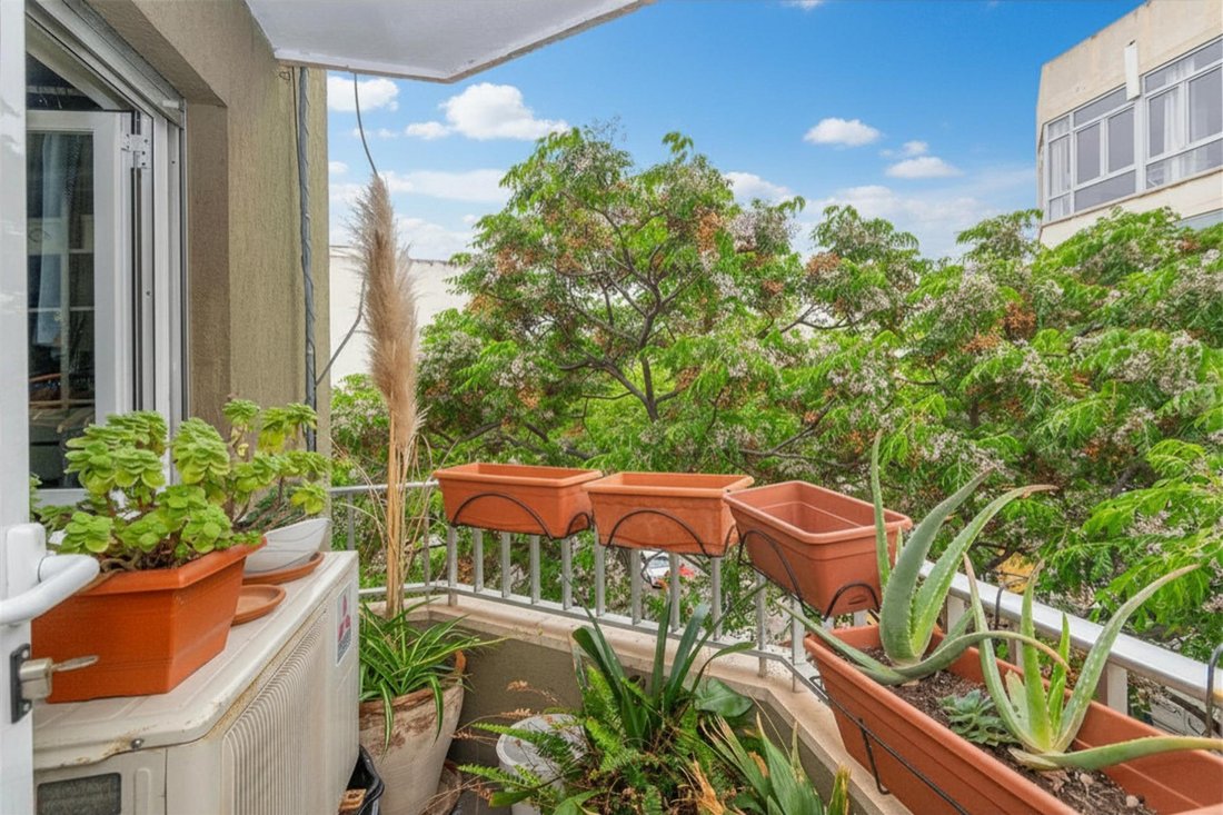 Apartment in Palma, Balearic Islands, Spain 4 - 17972659