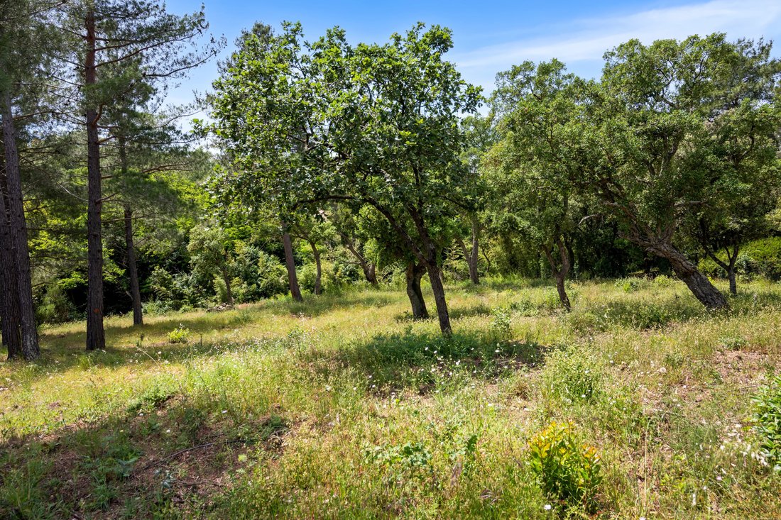 Land in Grimaud, Provence-Alpes-Côte d'Azur, France 2 - 17967033