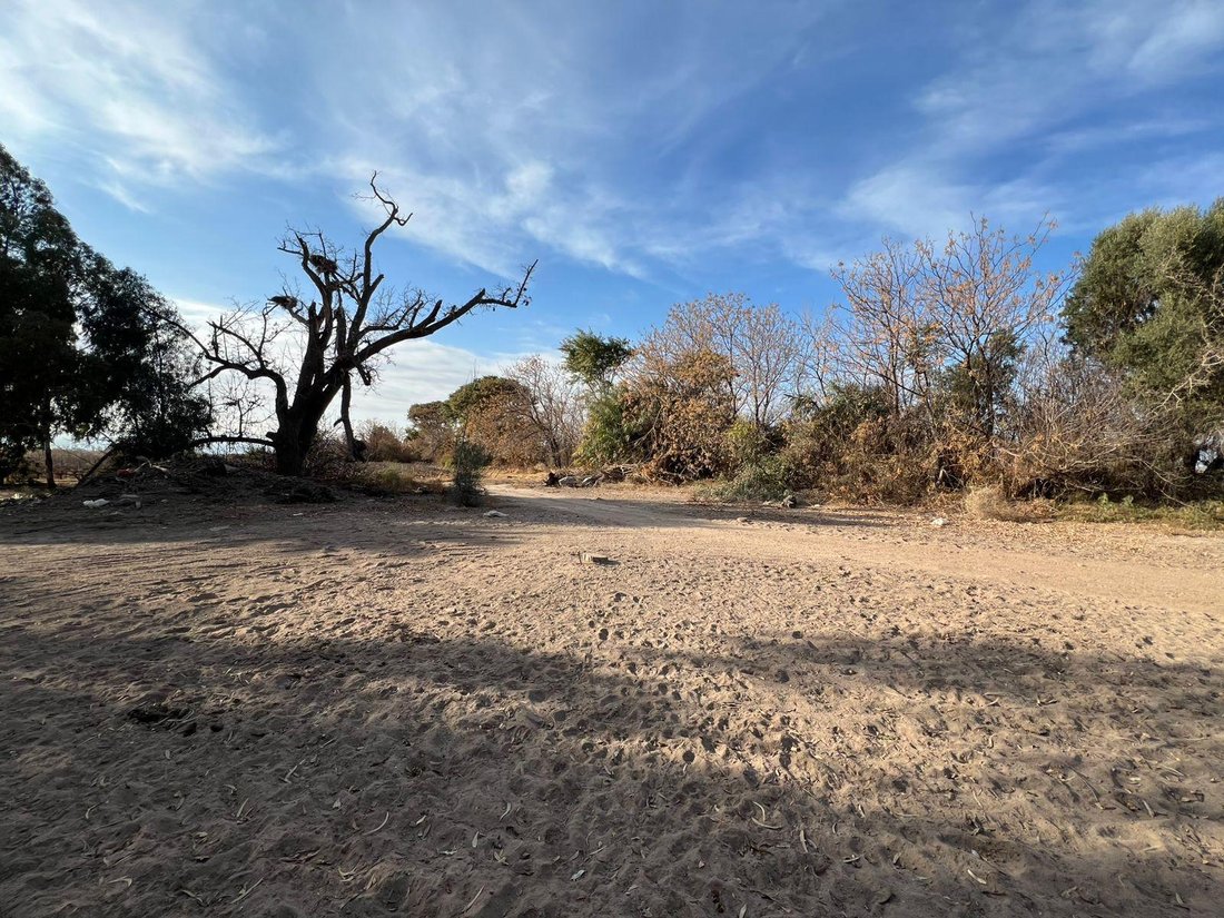 Farm Ranch in Villa Krause, San Juan Province, Argentina 3 - 17965949