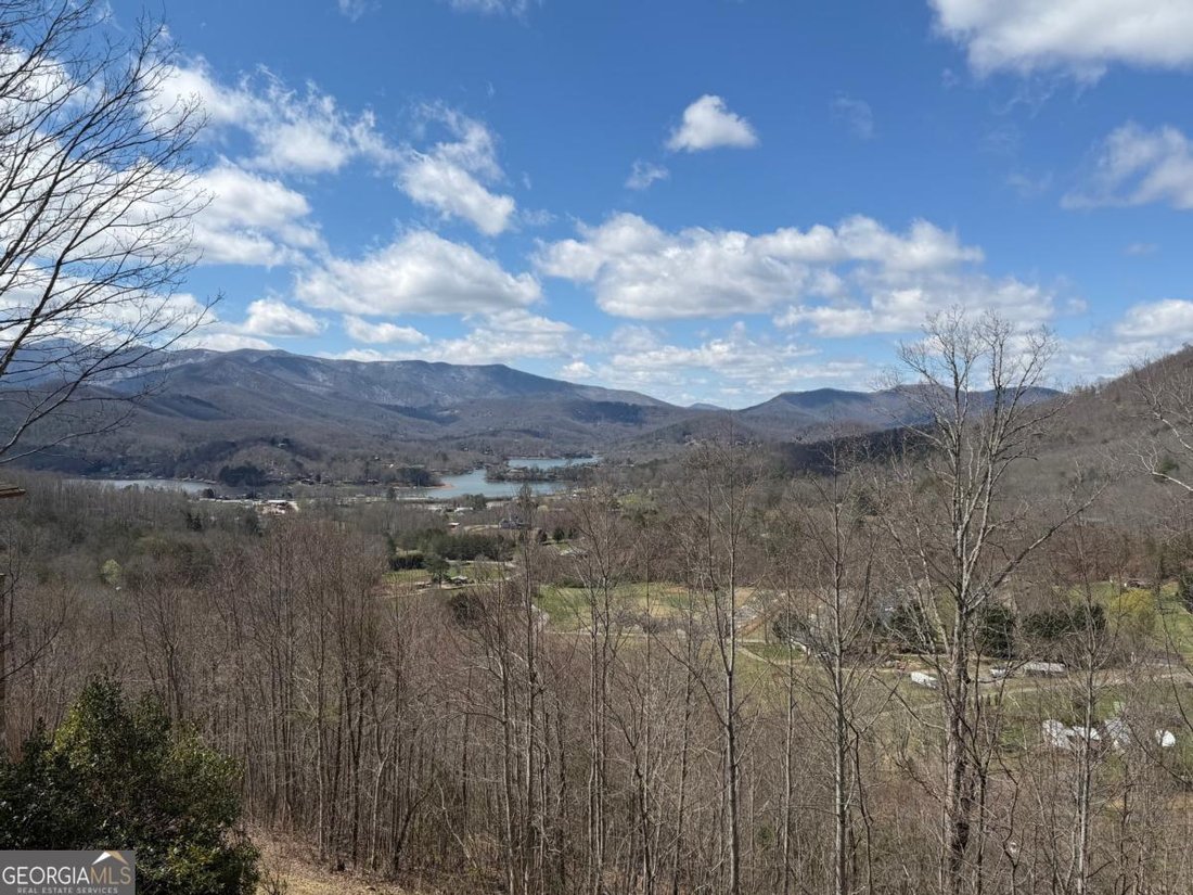 House in Hiawassee, Georgia, United States 3 - 17966692
