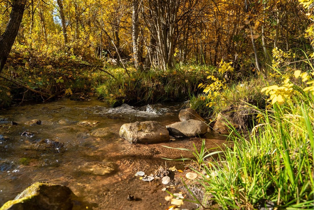 Land in Snowmass, Colorado, United States 5 - 17966979