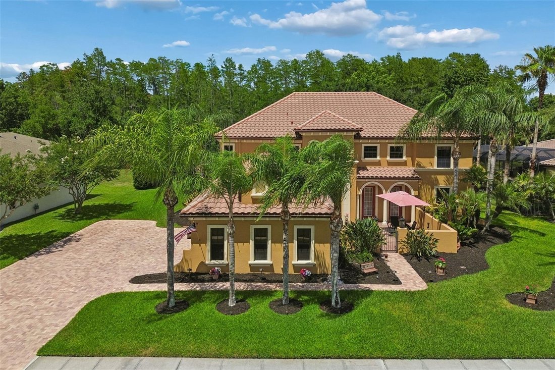 House in Land O' Lakes, Florida, United States 1 - 17971953