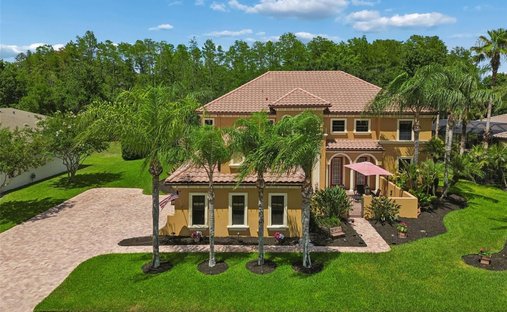 House in Land O' Lakes, Florida, United States 1