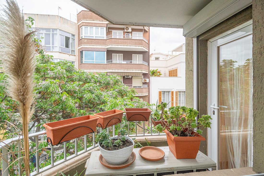 Apartment in Palma, Balearic Islands, Spain 2 - 17972659