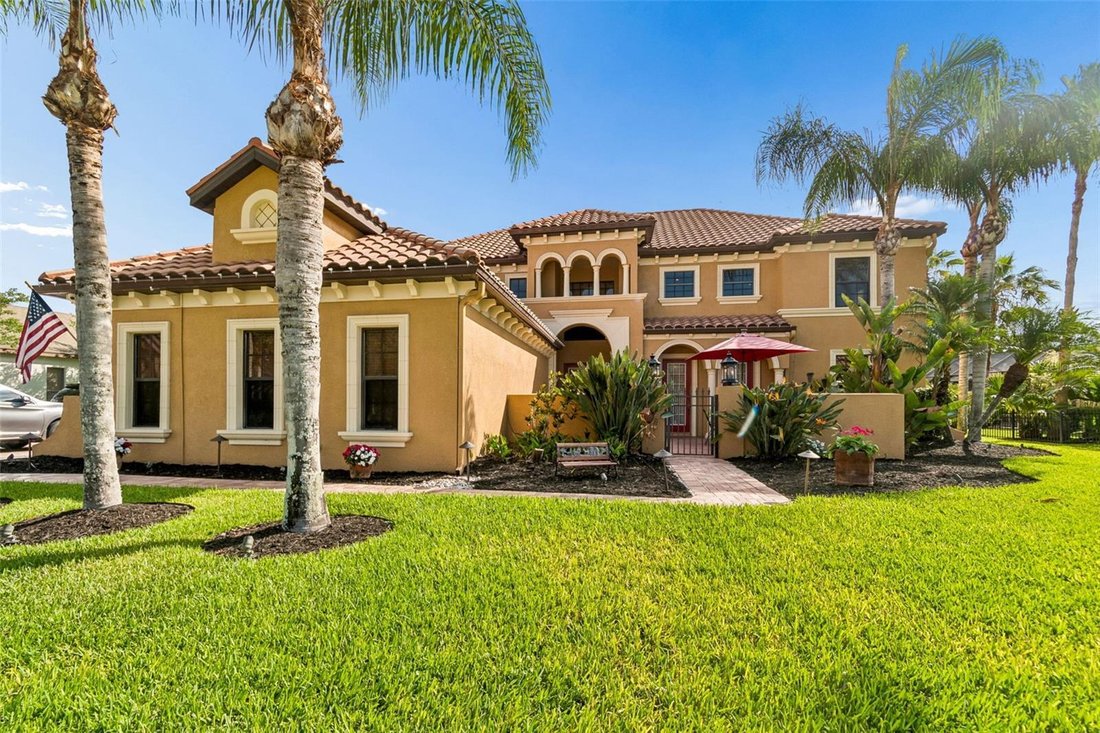 House in Land O' Lakes, Florida, United States 5 - 17971953