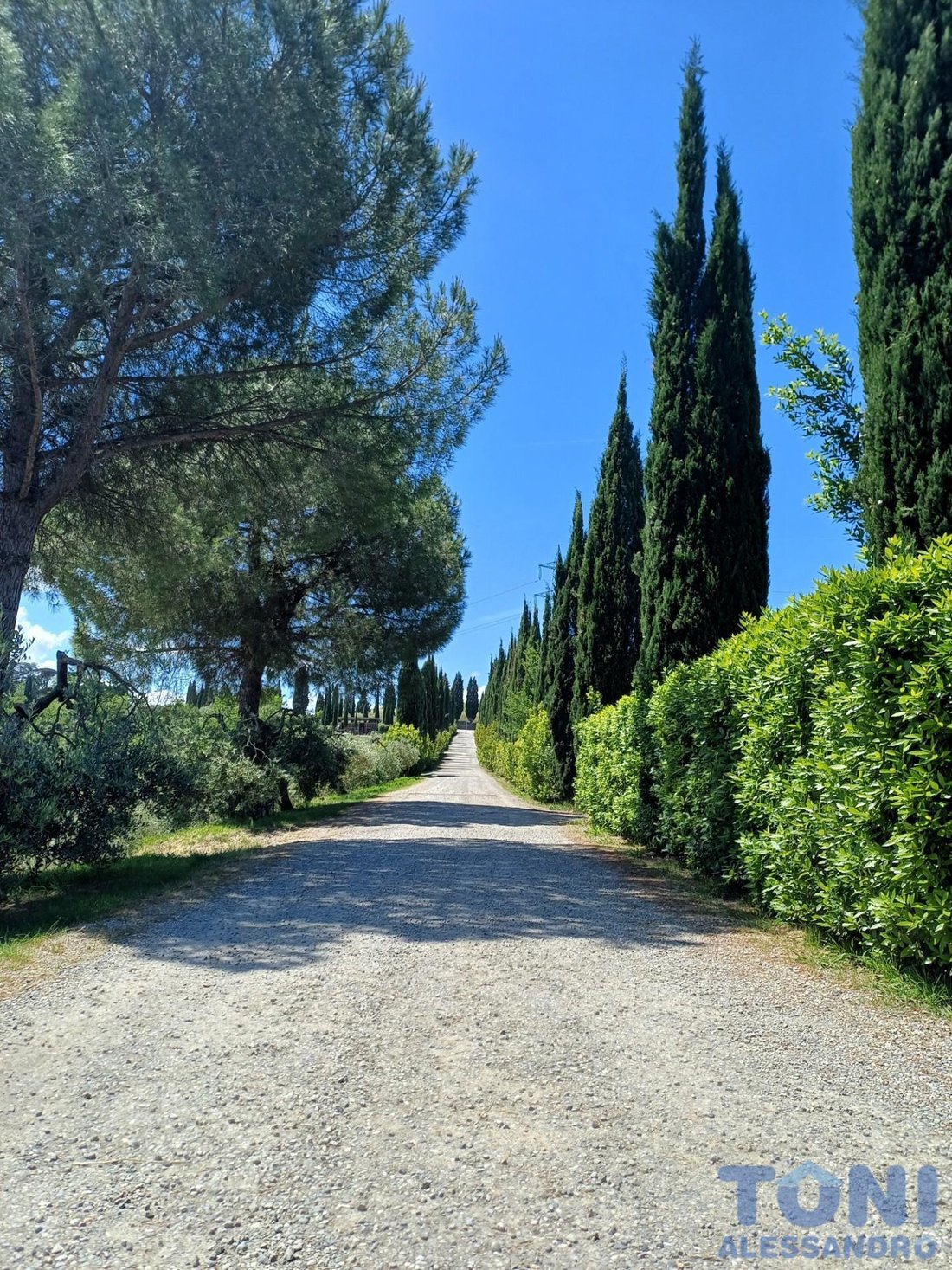 Villa in Center, Cerreto Guidi, Tuscany 2 - 17969890