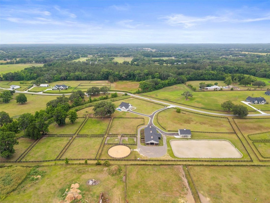 Ocala, Florida, United States 2 - 17966974