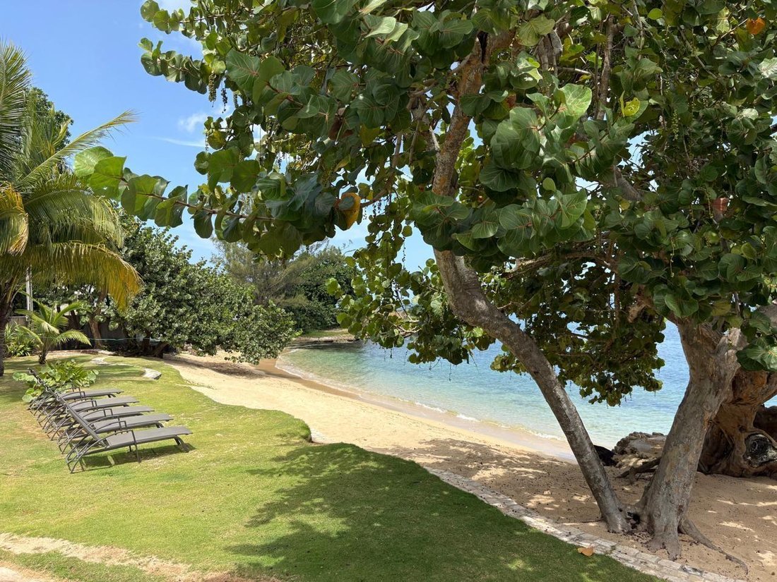 Apartment in Westmoreland, Westmoreland Parish, Jamaica 4 - 17971735