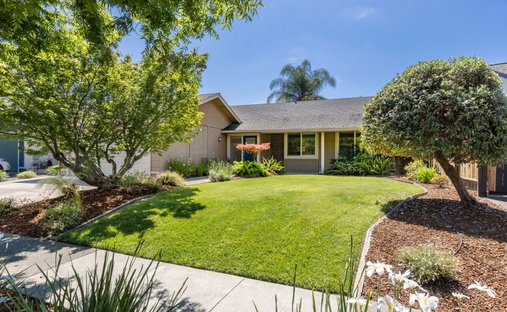 House in Napa, California, United States 1