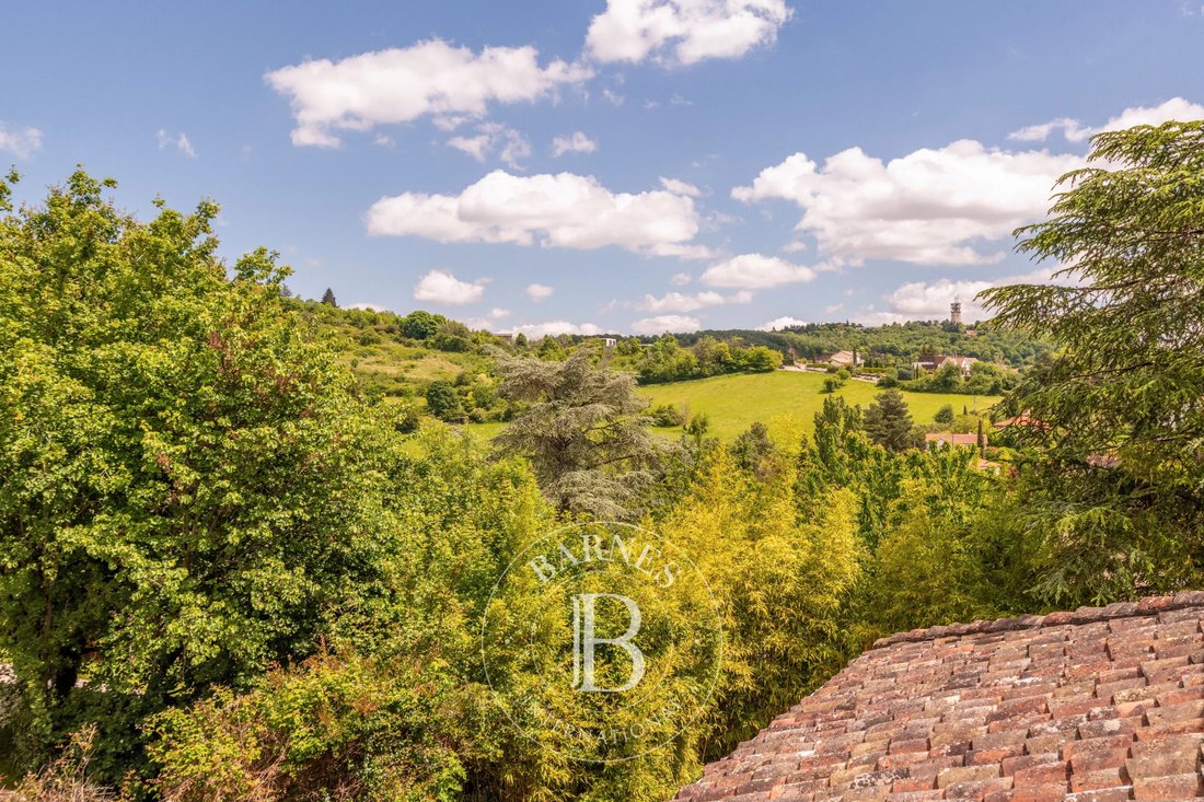House in Centre et Nord Ouest, Saint-Didier-au-Mont-d'Or, France 5 - 17968581
