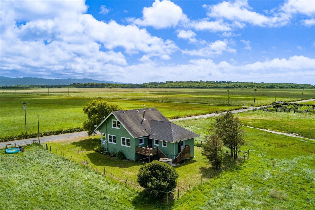Loleta, California, United States 5 - 17967502