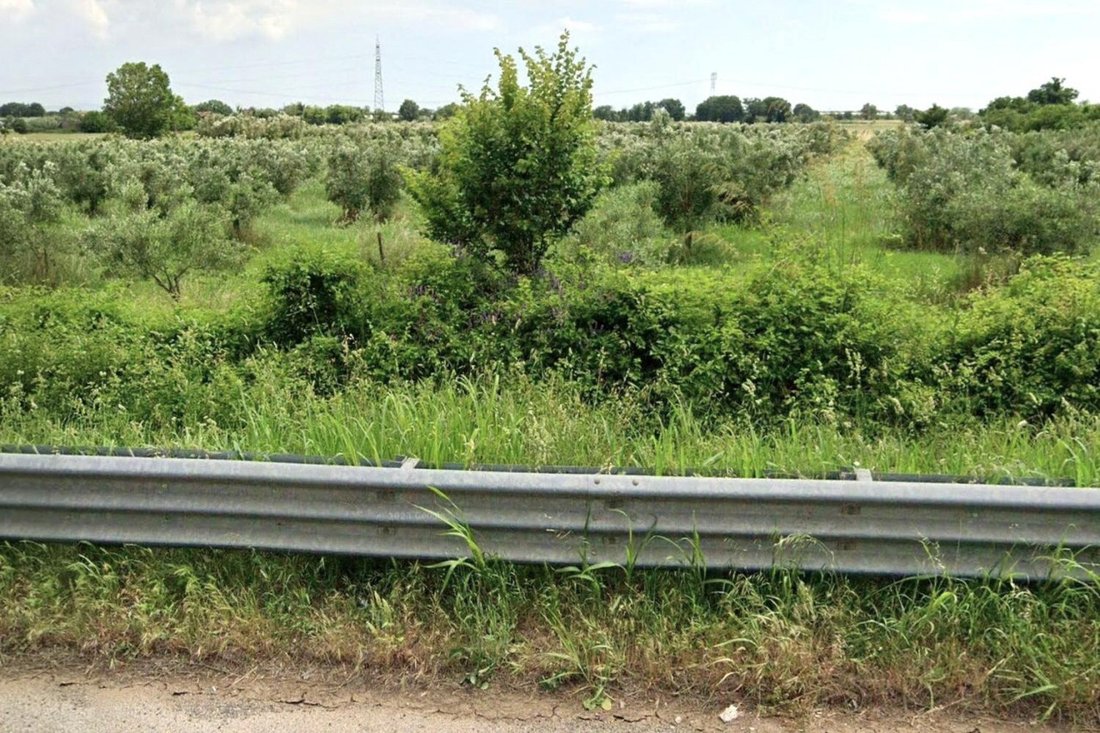 Land in Francolise, Campania, Italy 5 - 17970606