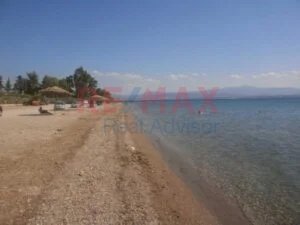 Land in Eretria, Thessaly and Central Greece, Greece 5 - 17966206