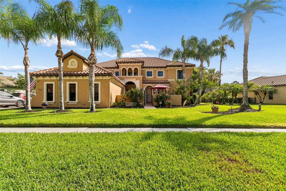 House in Land O' Lakes, Florida, United States 3 - 17971953