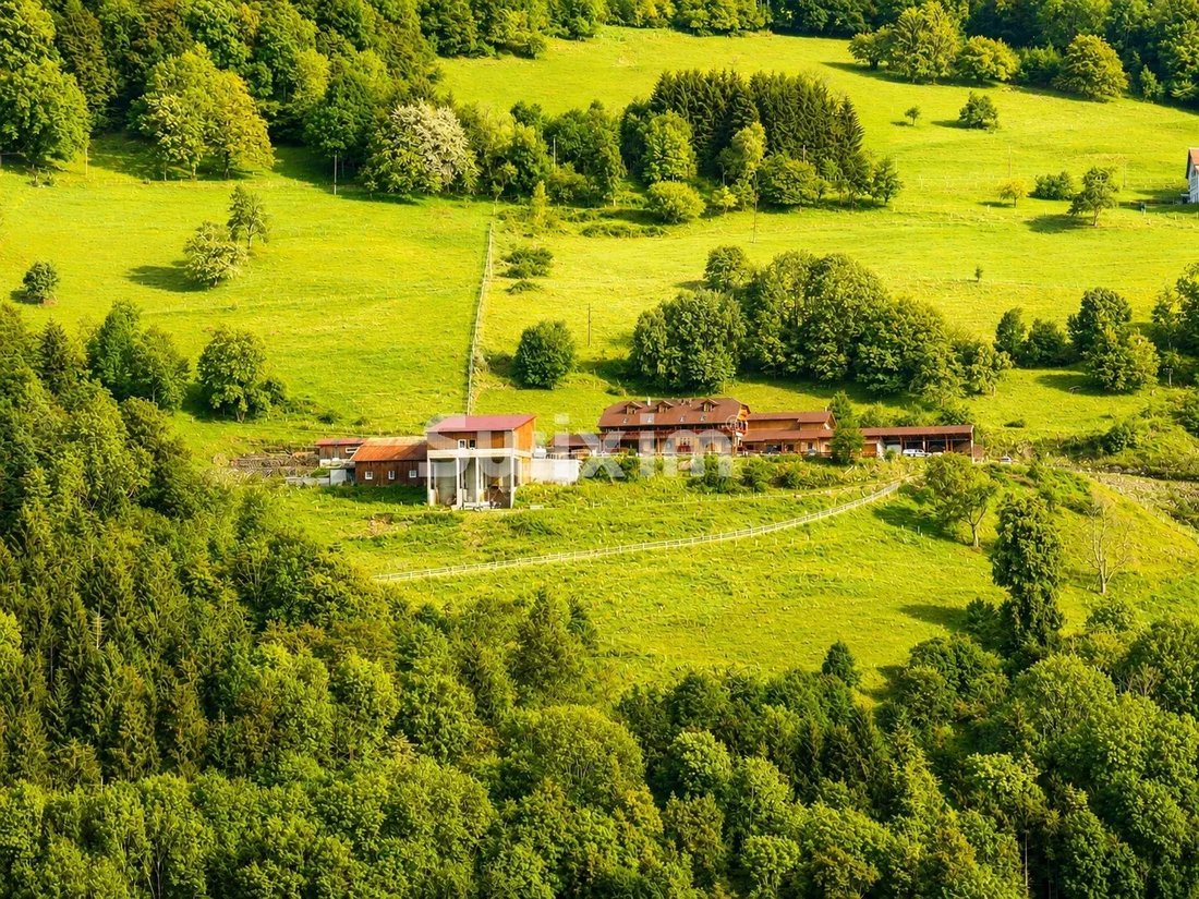 House in Sainte-Marie-aux-Mines, Grand Est, France 5 - 15921273