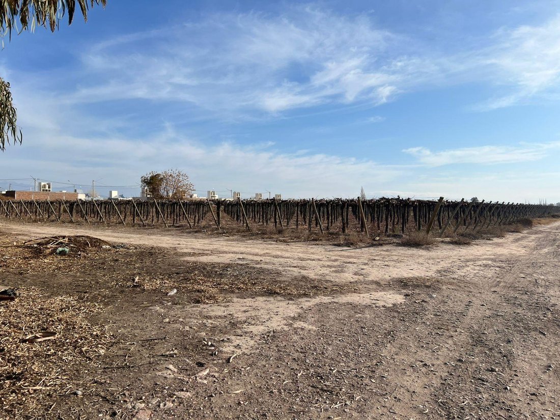 Farm Ranch in Villa Krause, San Juan Province, Argentina 5 - 17965949