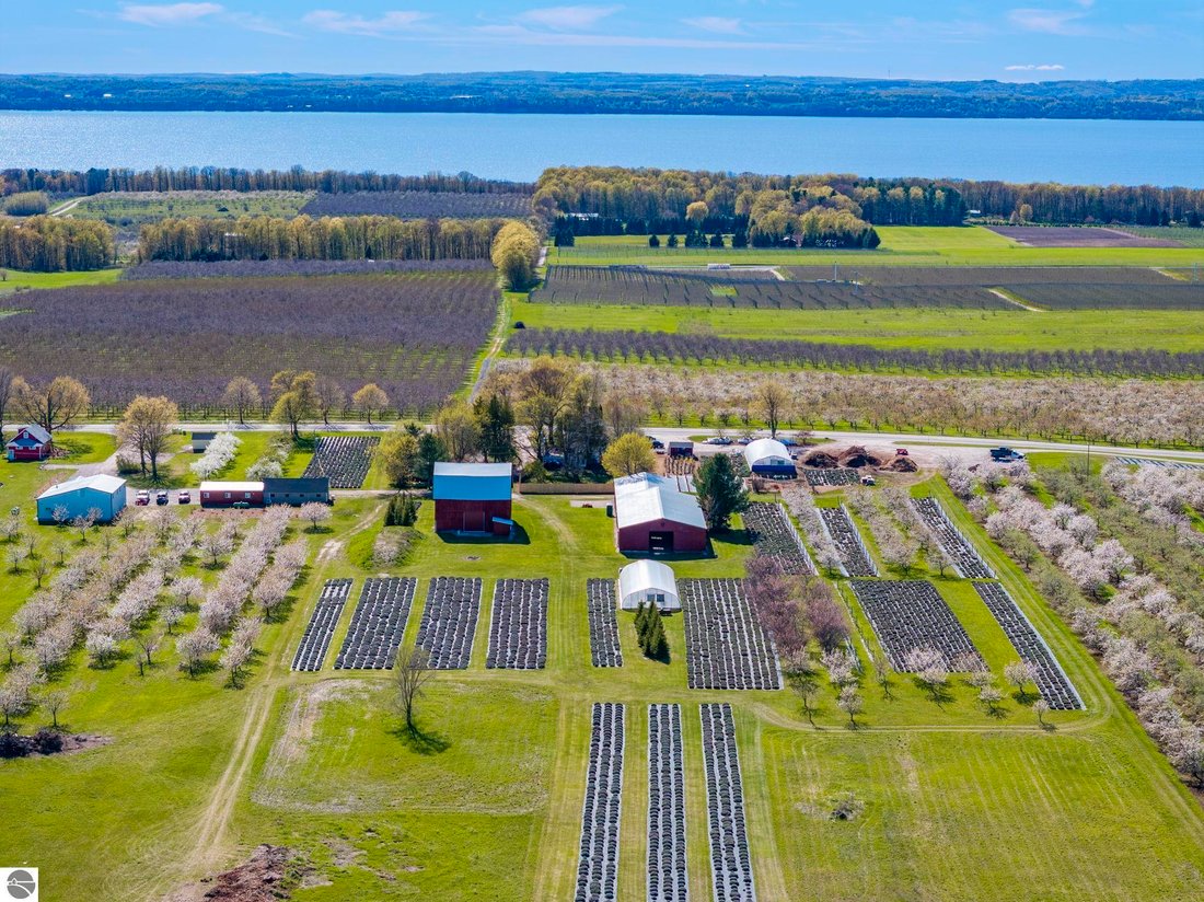 Traverse City, Michigan, United States 5 - 17971234