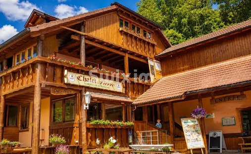 Casa a Sainte-Marie-aux-Mines, Grande Est, Francia 1