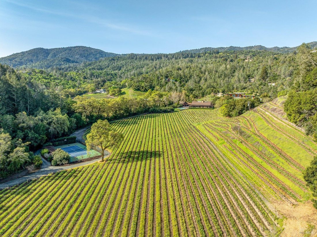 House in St. Helena, California, United States 3 - 17967967