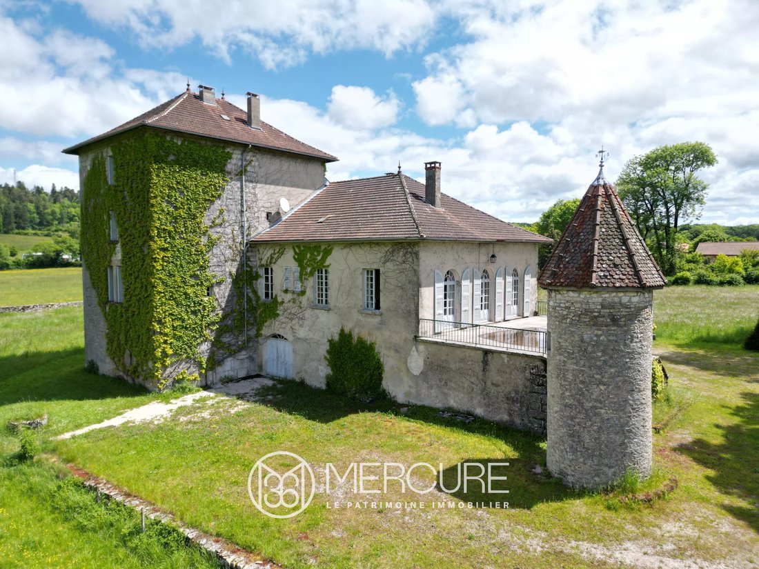 Estate in Sonthonnax-la-Montagne, Auvergne-Rhône-Alpes, France 3 - 16484044