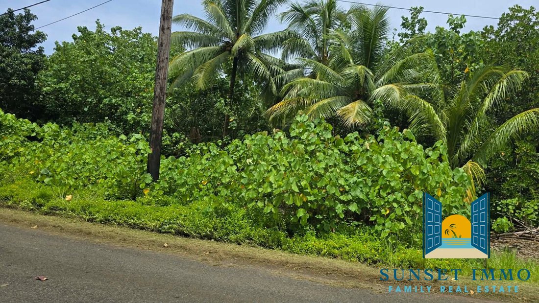 Land in TAPUTAPUATEA, French Polynesia 2 - 17971638