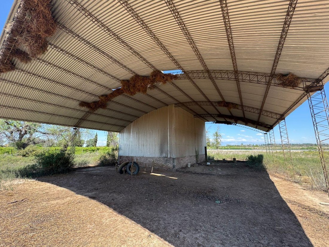 Farm Ranch in Algarrobo Verde, San Juan Province, Argentina 3 - 17968561