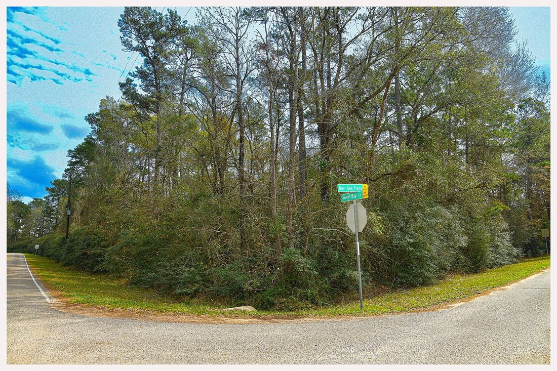 Land in Magnolia, Texas, United States 2 - 17970480